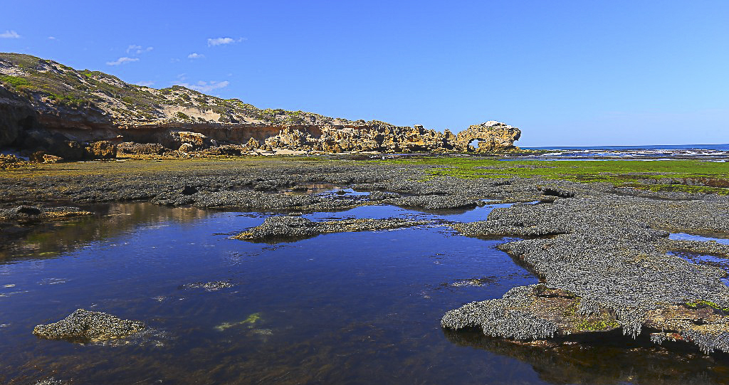 Bridgewater Bay copy