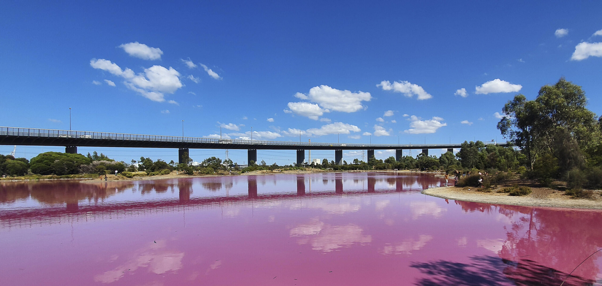 Pink Lake Image